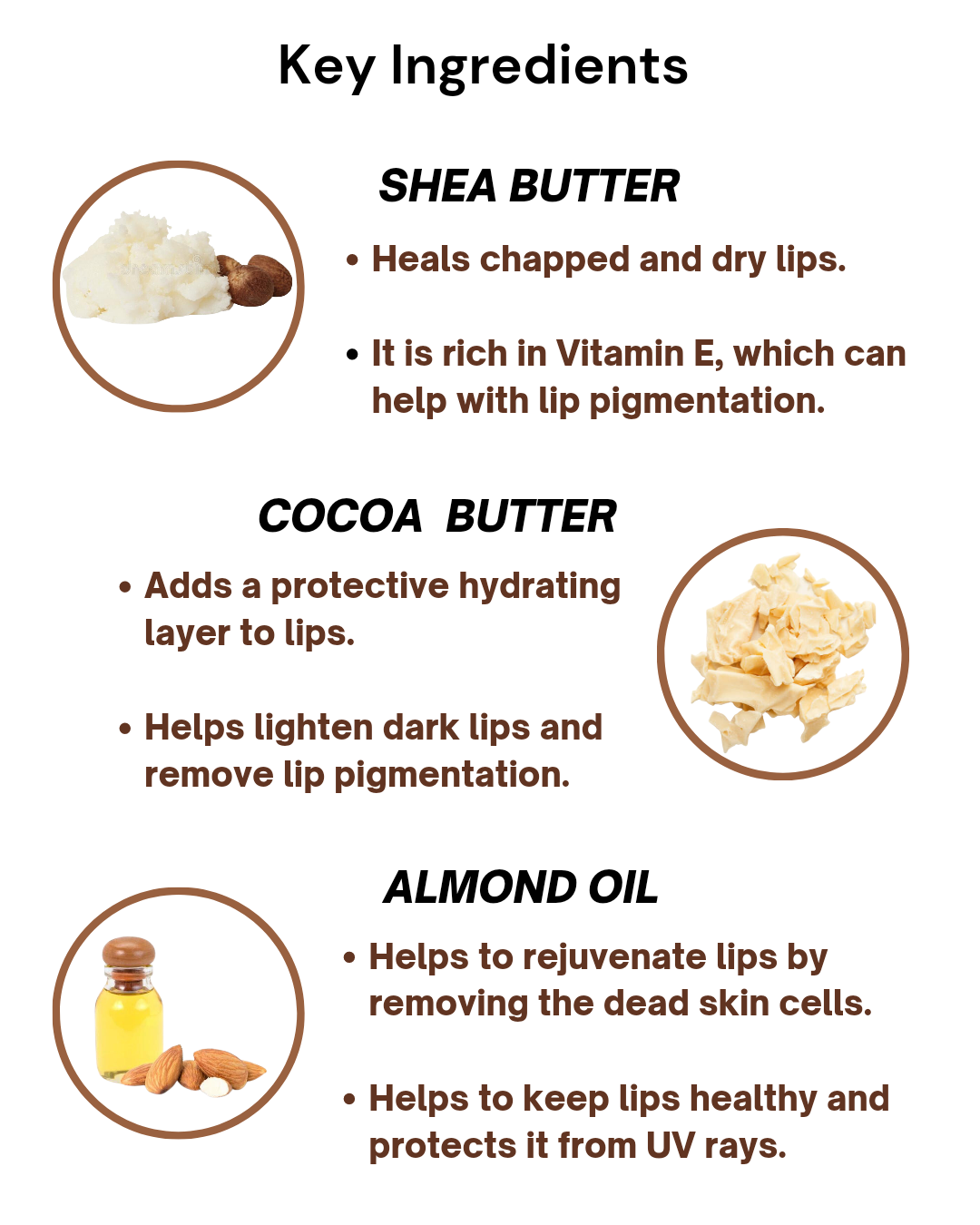 Nesa Cocoa Shea Lip Butter - 15 Gms - Moisturizing Lip Butter for Dry, Chapped, and Dark Lips
