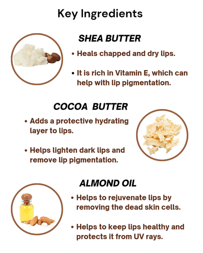 Nesa Cocoa Shea Lip Butter - 15 Gms - Moisturizing Lip Butter for Dry, Chapped, and Dark Lips
